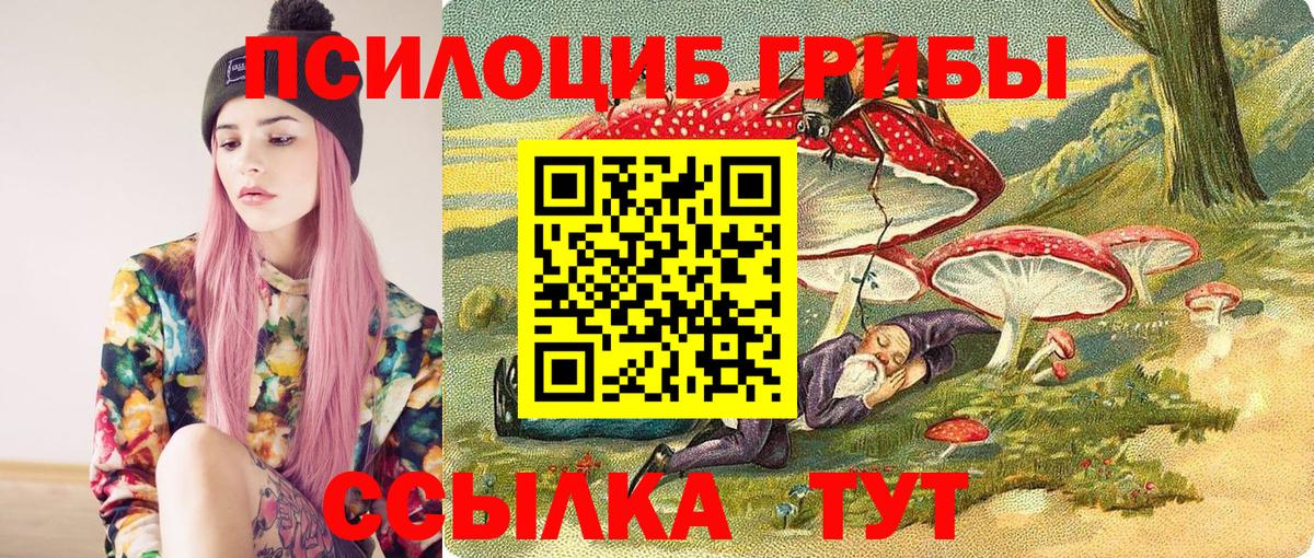 Галлюциногенные грибы Magic Shrooms  Вход с VPN  Долгопрудный 