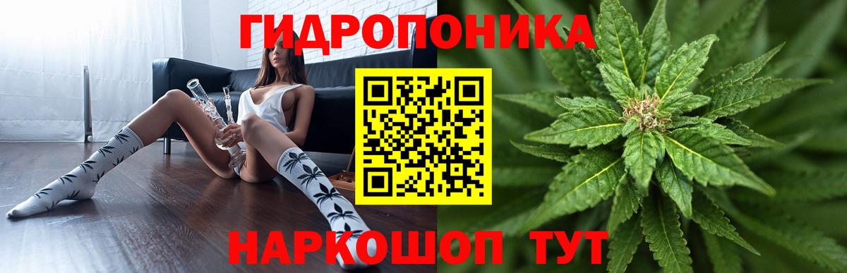 Бошки марихуана план  Конопля марихуана  Бошки Шишки сатива  Вход с VPN  Долгопрудный  Конопля Amnesia 